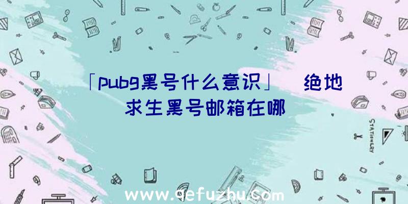 「pubg黑号什么意识」|绝地求生黑号邮箱在哪